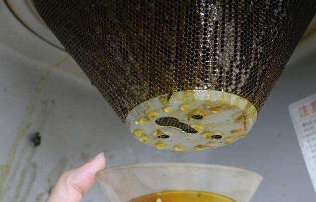 油煙機的“廢油”當花肥