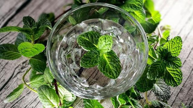 廚房養4種愛吸油煙的植物  油煙再大也不怕