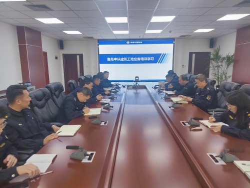 麥島執法中隊加大環保方面工作檢查力度